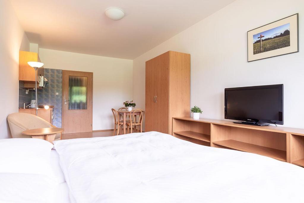 Apartmany Engadin Boží Dar المظهر الخارجي الصورة